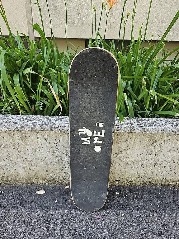 Skateboards: Mini Skateboard my area  60cm  – Gebraucht aus Zürich von vintonsen 2