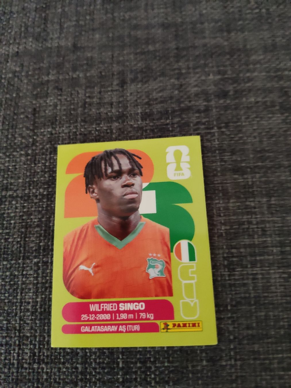Panini Sammelbilder & Trading cards: panini CIV 4 – Gebraucht aus Ettenhausen TG von danielhoop