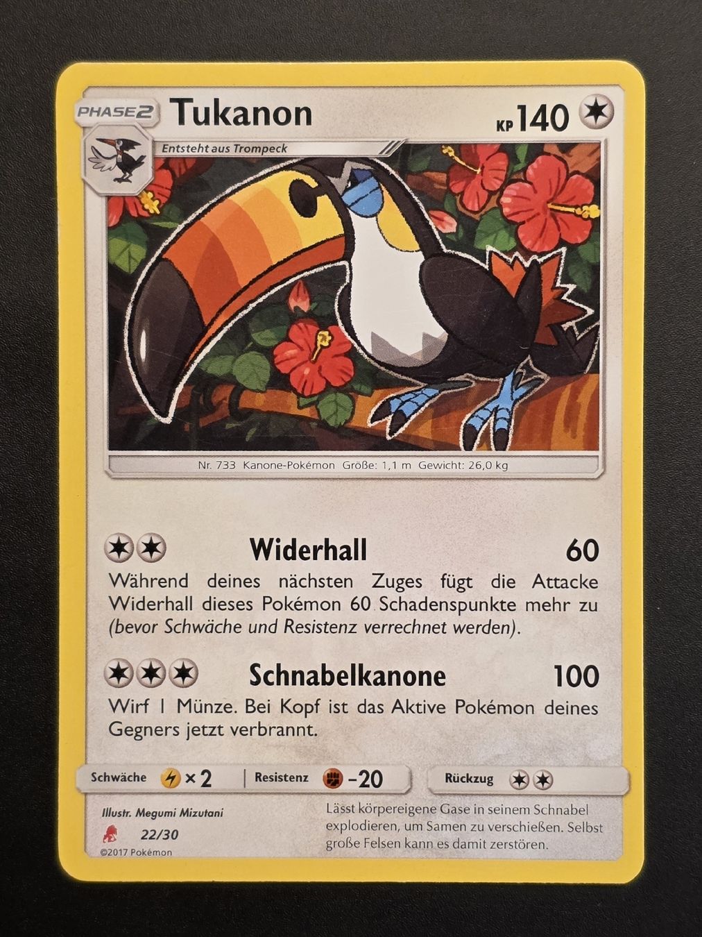 Pokémon Carte collezionabili: Tukanon 22/30 Pokémon Wolwerock SM Trainer Kit -DE – Nuovo (secondo la descrizione) da Basel venduto da MartinM.91