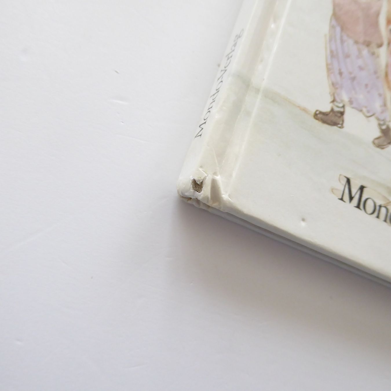 Libri: Mimi und Brumm als Strassenmusikanten – Usato da Basel venduto da Kunterbunt12 2