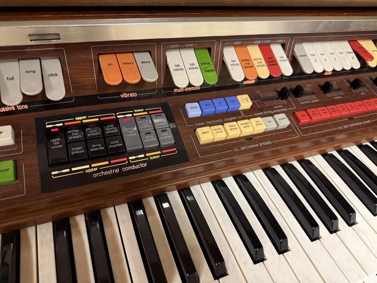 Technics Instruments de musique: Technics Orgel mit Program Chord Computer gebrauchter Zustan – D'occasion à Saas-Balen par lu9_kl2c 1