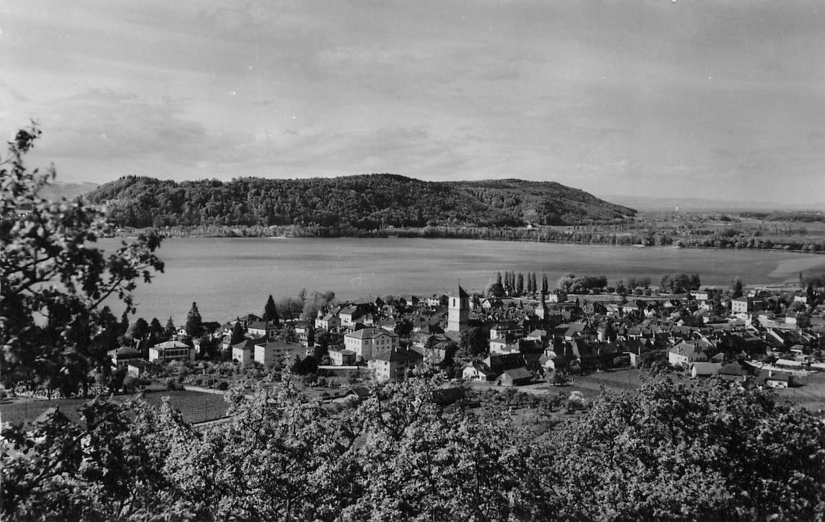 Cartoline postali: Neuveville (BE) – Usato da Biasca venduto da Blenio71
