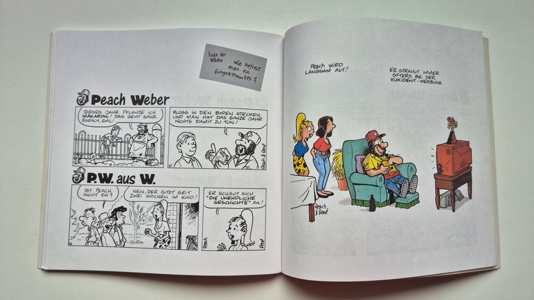 Comics: Peach Weber - Das Buch  / Nix wie Comix – Gebraucht aus Niederweningen von Obson 4