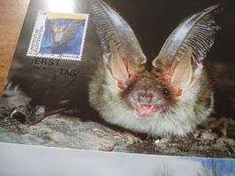Liechtenstein 2005, Jahresserie Maximumkarten, 33 Belege