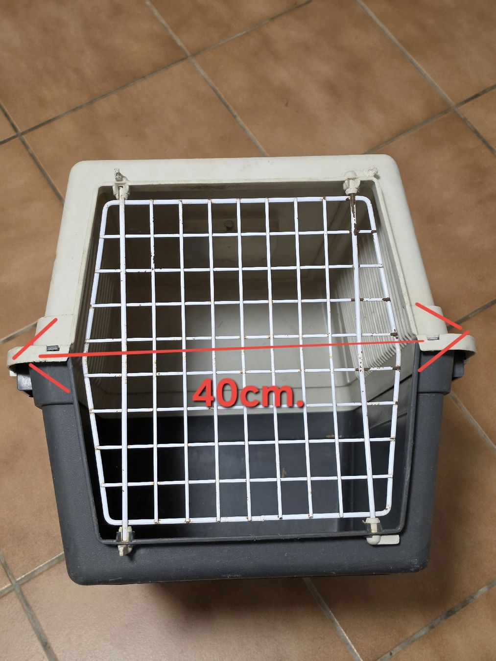 Cucce & Letti: Caisse de Transports.  – Usato da Bevaix venduto da Nounoursch 2