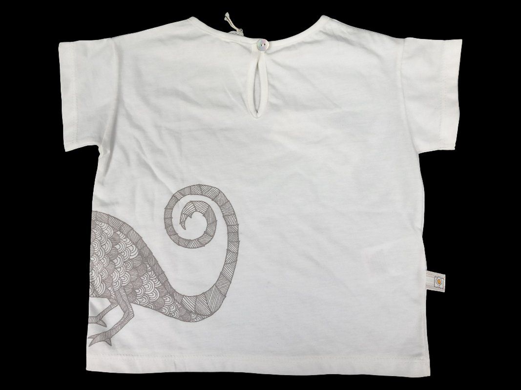 T-shirts: FILIBIO NATURE INSIDE Chamäleon, 2er Set, 12 m – Neuf (Voir description) à Hünenberg par Restwert_Zug 6
