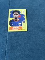 Panini Cpv10
