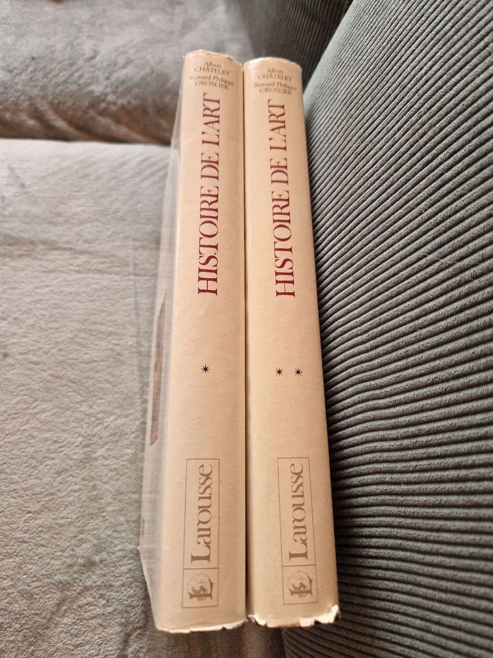 Libri: Larousse Histoire de L'art 1 et 2  – Usato da Les Agettes venduto da Mazikeen 6