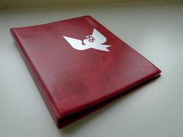 1853-1862: 14 Strubelbriefe! Tolle Sammlung +Album +QUALITÄT