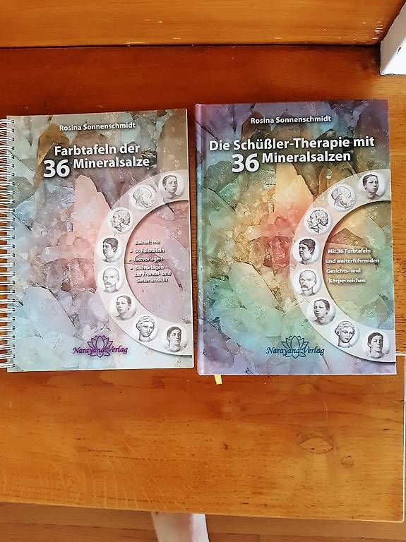 Libri: Schüsslersalze Bücher – Nuovo (secondo la descrizione) da Nebikon venduto da Haidihooo 2