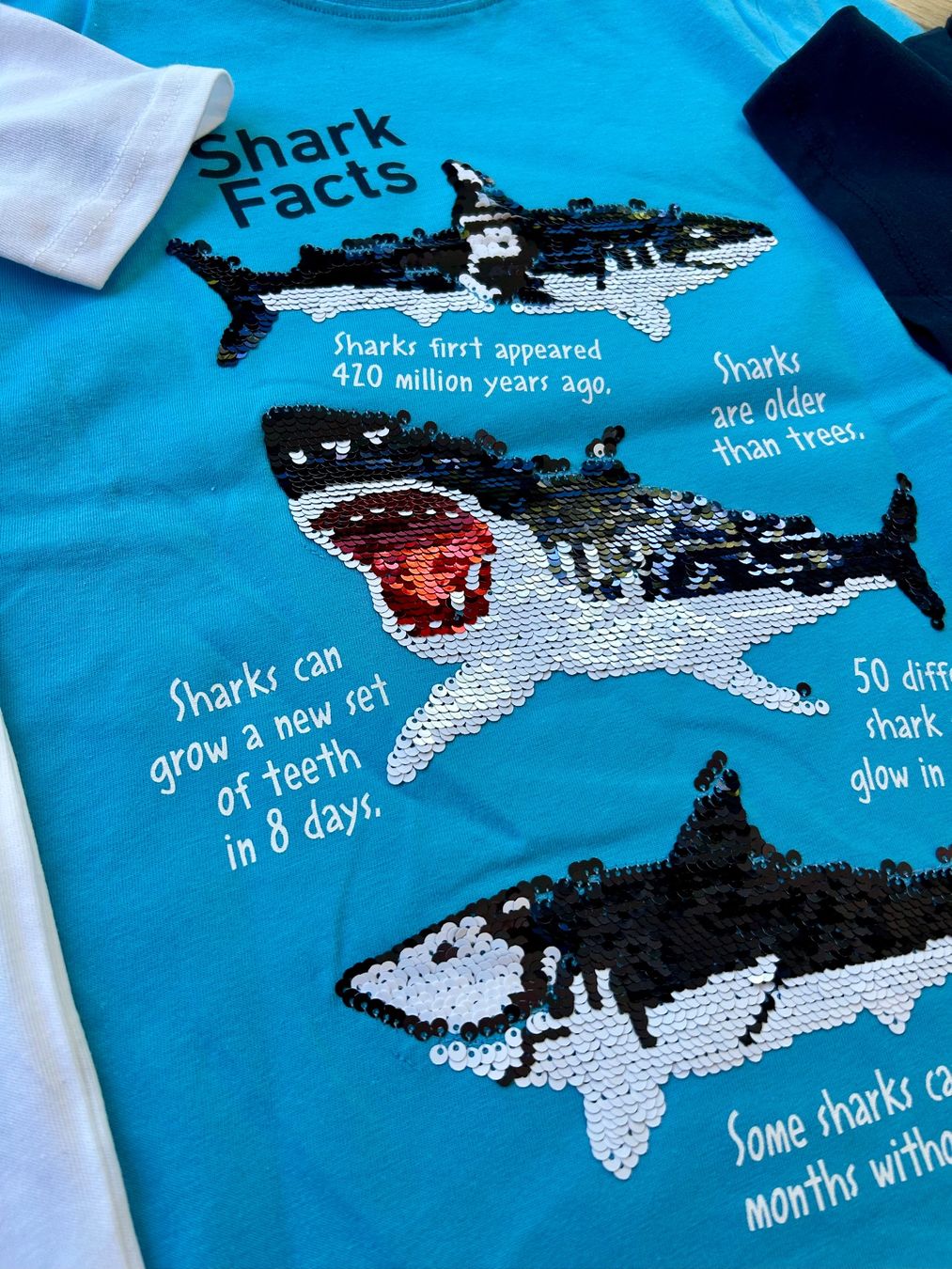 Camicie, T-shirt & Polo: T- Shirts Ge. 134 – Nuovo (secondo la descrizione) da Rothrist venduto da szc_9dg5 4