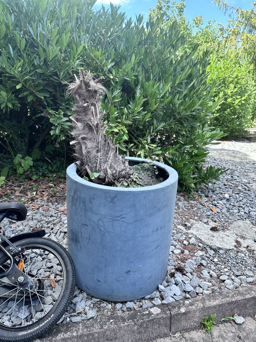 Blumentöpfe: Pflanzgefäss / Blumentopf XXL – Gebraucht aus Tägerig von Unbekannt5522 1