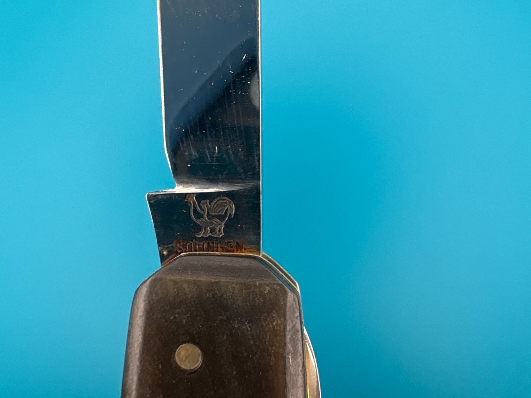 Solingen Coltelli tascabile: Vintage Solingen Sackmesser mit Hornschalen – Usato da Elgg venduto da Jo_Naj 3