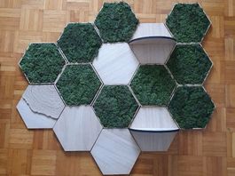 Growing Concepts MOSWANDEN - Modulare Wanddekorationen