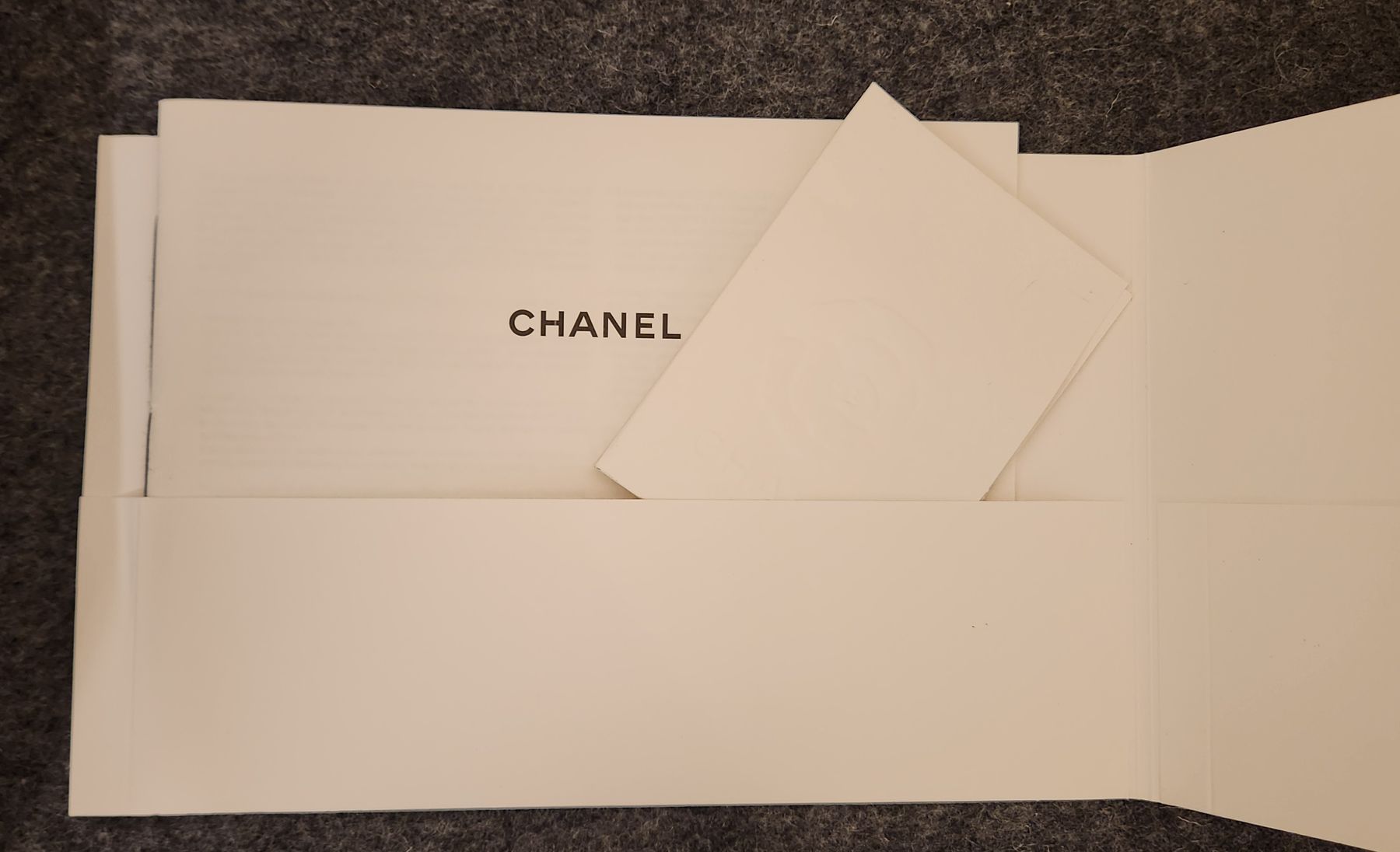 Chanel Borse: Chanel 19 Flap Bag NEU – Nuovo e nell'imballaggio originale da Wollerau venduto da CH8832 5