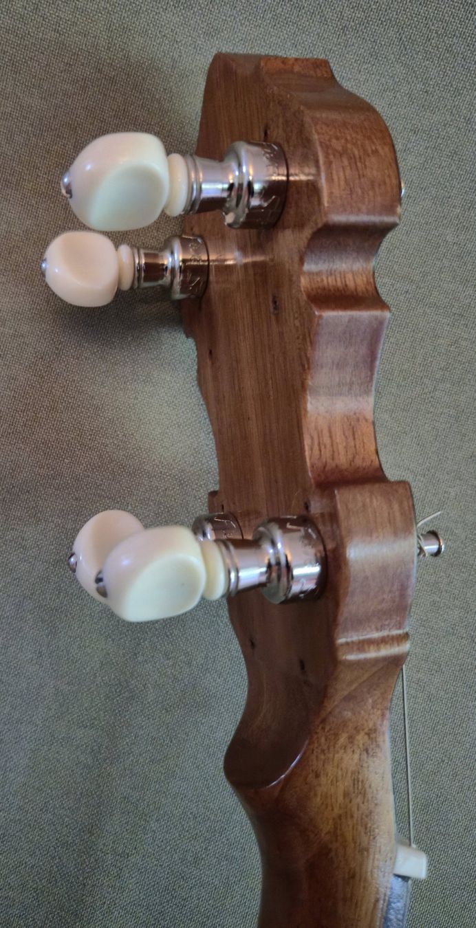 Strumenti musicali: SAGA 5-String Fretless-Banjo 11", Open-Back aus Bausatz – Usato da Jona venduto da brackets 5