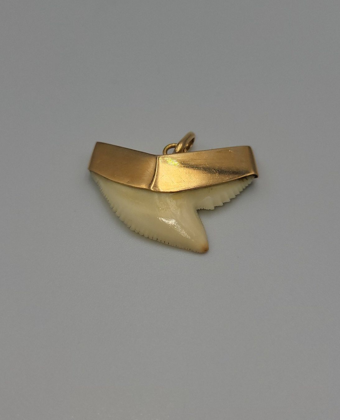 Anhänger: Gold 585 Haizahn Anhänger – Gebraucht aus Wald ZH von Dasilver 4