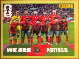Panini POR13