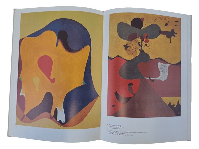Libri: JOAN MIRO Editions Albin Michel Paris – Usato da Männedorf venduto da Restwert_Maennedorf 1
