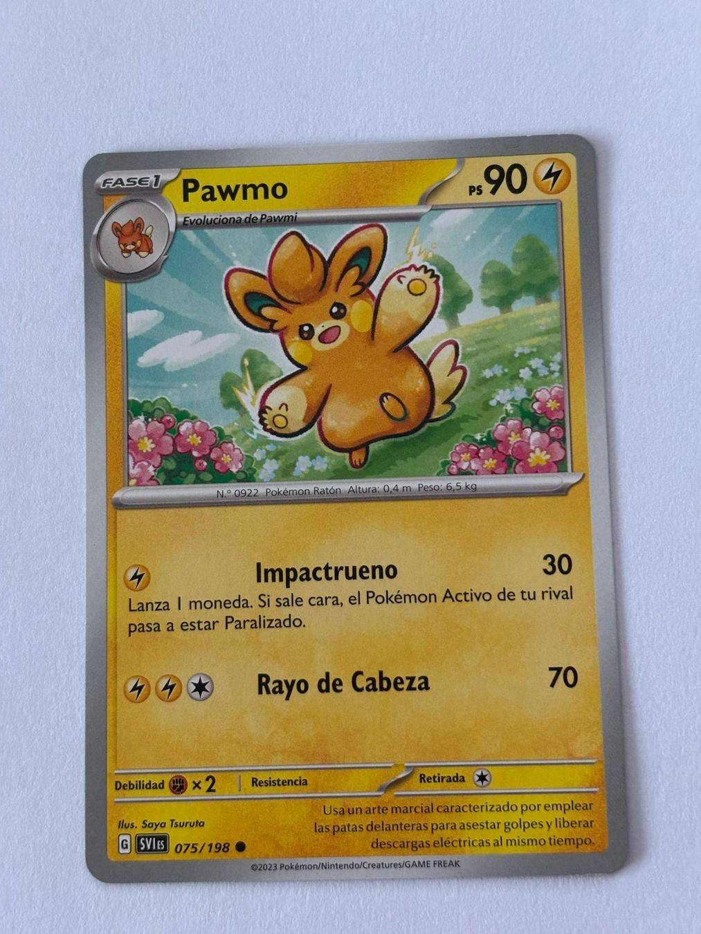 Pokémon Sammelbilder & Trading cards: Pokemon-Karte Pawmo 075/198 – Gebraucht aus Herisau von Seyashop1