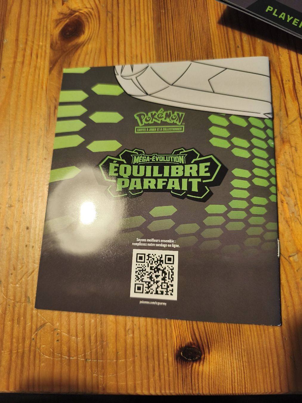 Pokémon Carte collezionabili: pokemon Guide de jeu Etb équilibre parfait  – Usato da Fontaines NE venduto da Onibaku 1