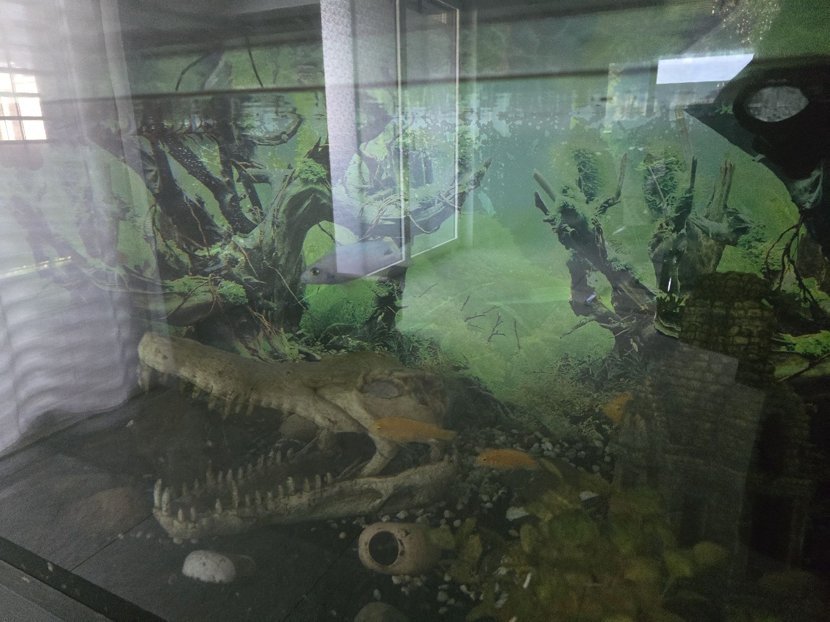 Acquari: Aquarium mit Unterschrank und Filter – Usato da Giswil venduto da cavalier04 4