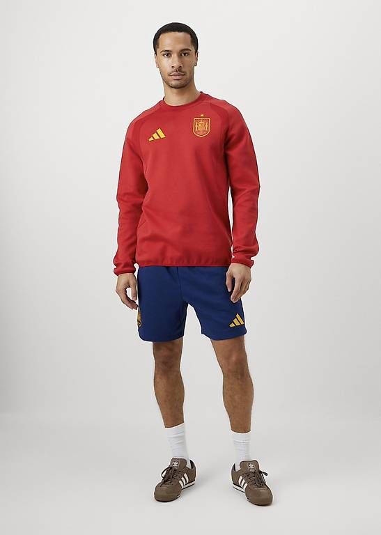 Maglioni & Felpe: Spanien Sweatshirt – Usato da Aedermannsdorf venduto da Molinero_ 2