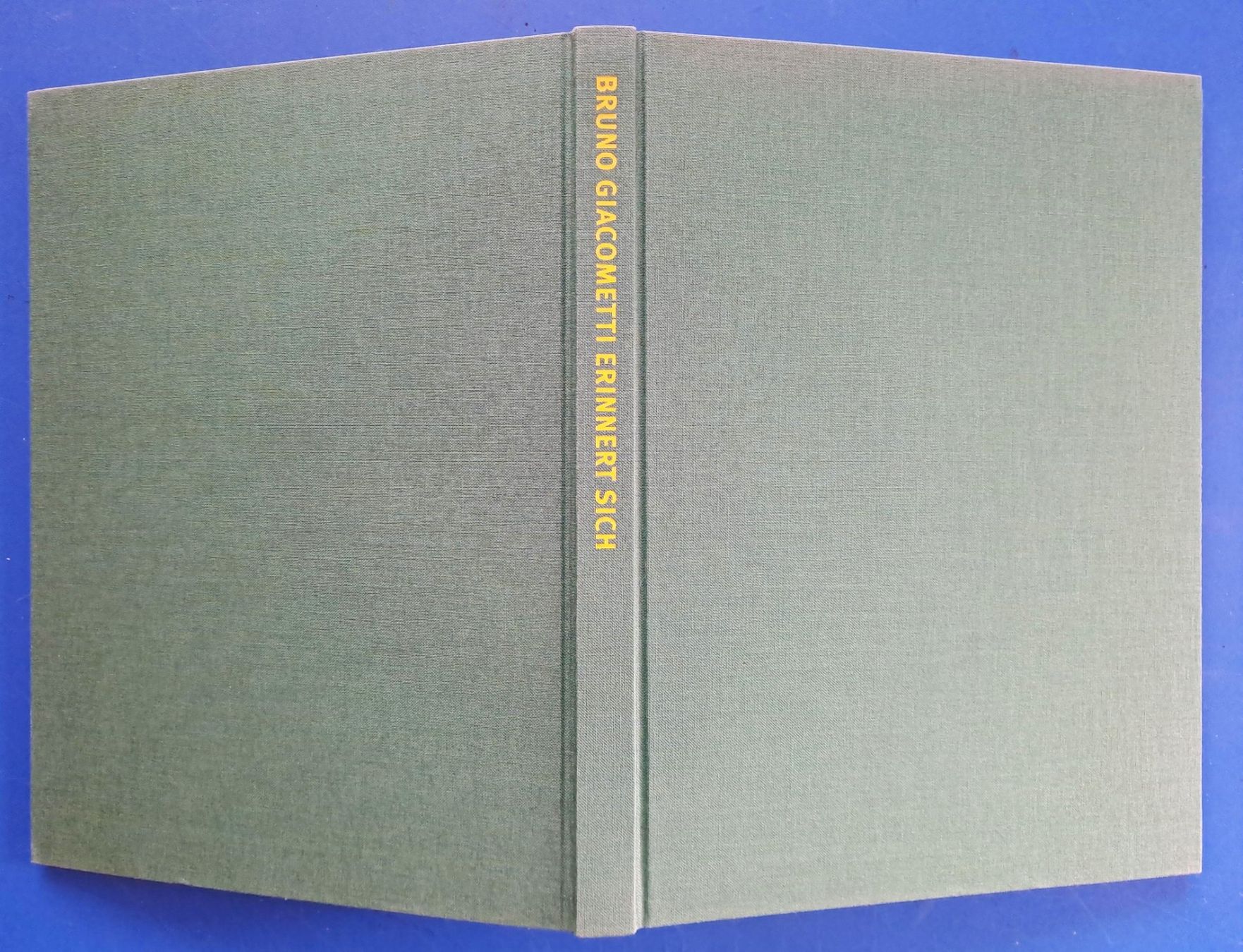Libri: BRUNO GIACOMETTI ERINNERT SI – Usato da Zürich venduto da archiphil 1