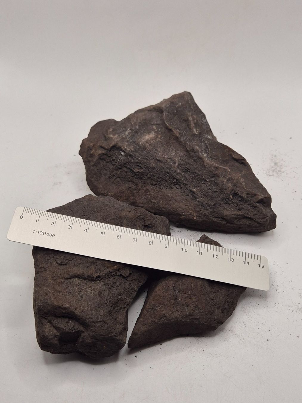 Fossili: Fossiles, versteinertes Holz, mit Quarz xx; Java, Indonesien – Nuovo e nell'imballaggio originale da Winterthur venduto da LukasMineralienOase 1