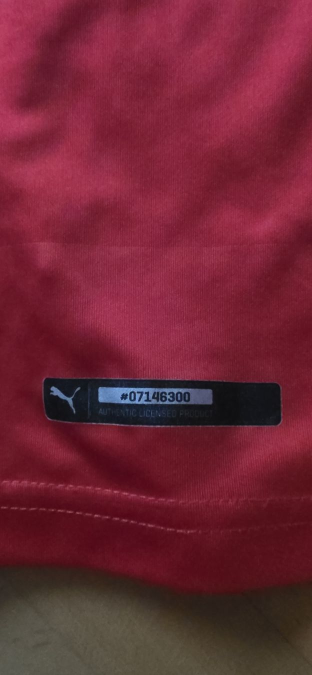 Schweizer Nati Canottiere & Pantaloni: Schweizer Nati Trikot  – Usato da Horn venduto da Exciter6 3