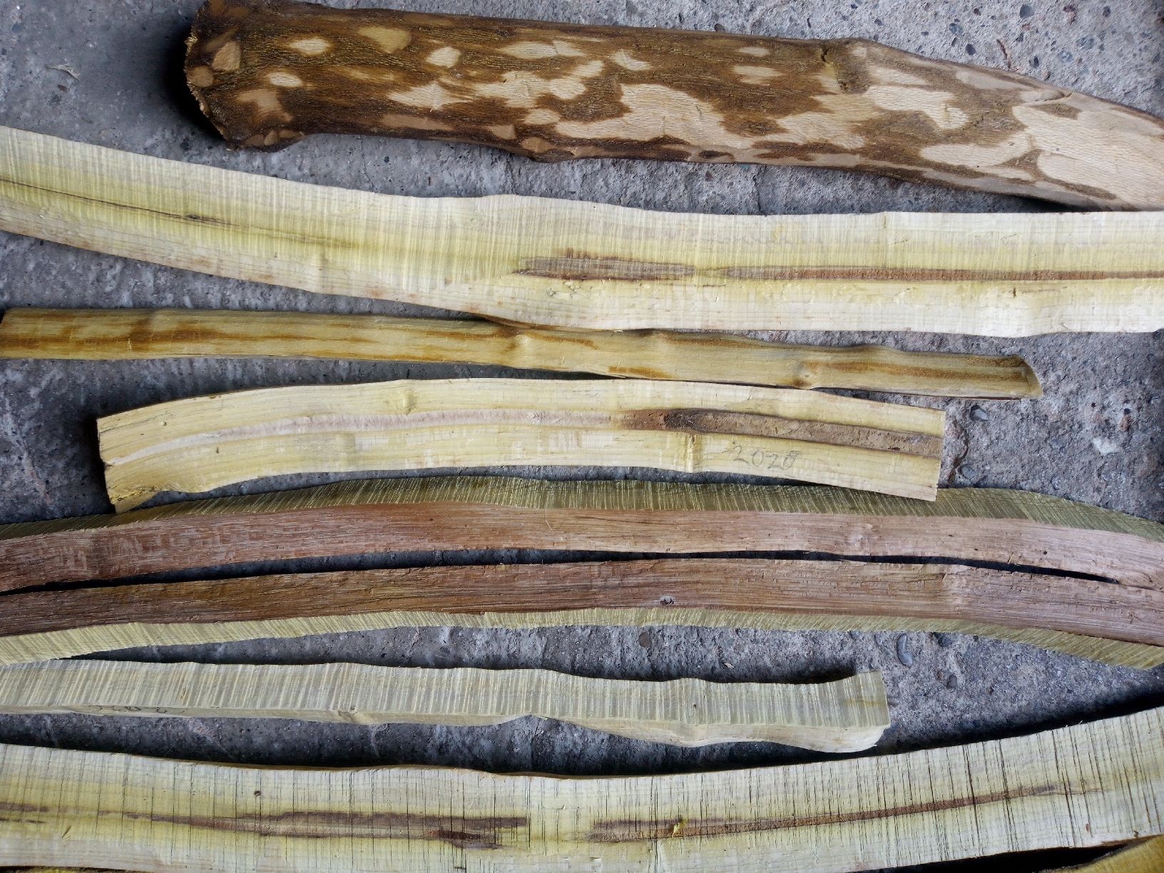 Holzartikel: Berberize Holz, Kantel, zum Drechseln oder für Messergriffe – Neu (gemäss Beschreibung) aus Elsau von EL12 4