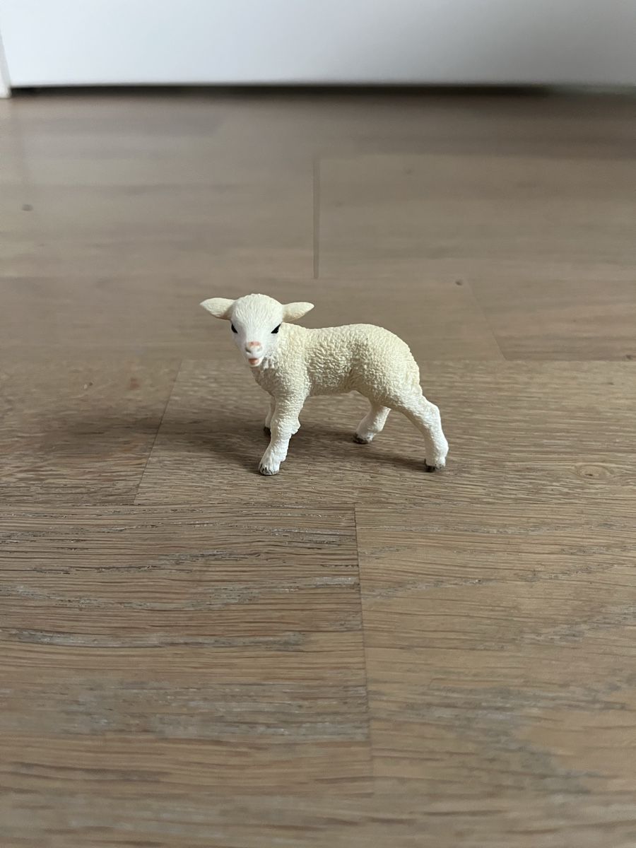 Schleich Spielzeuge: Schleich Lämmchen – Gebraucht aus Lachen SZ von nin_jxy9