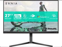 Philips Gaming Monitor