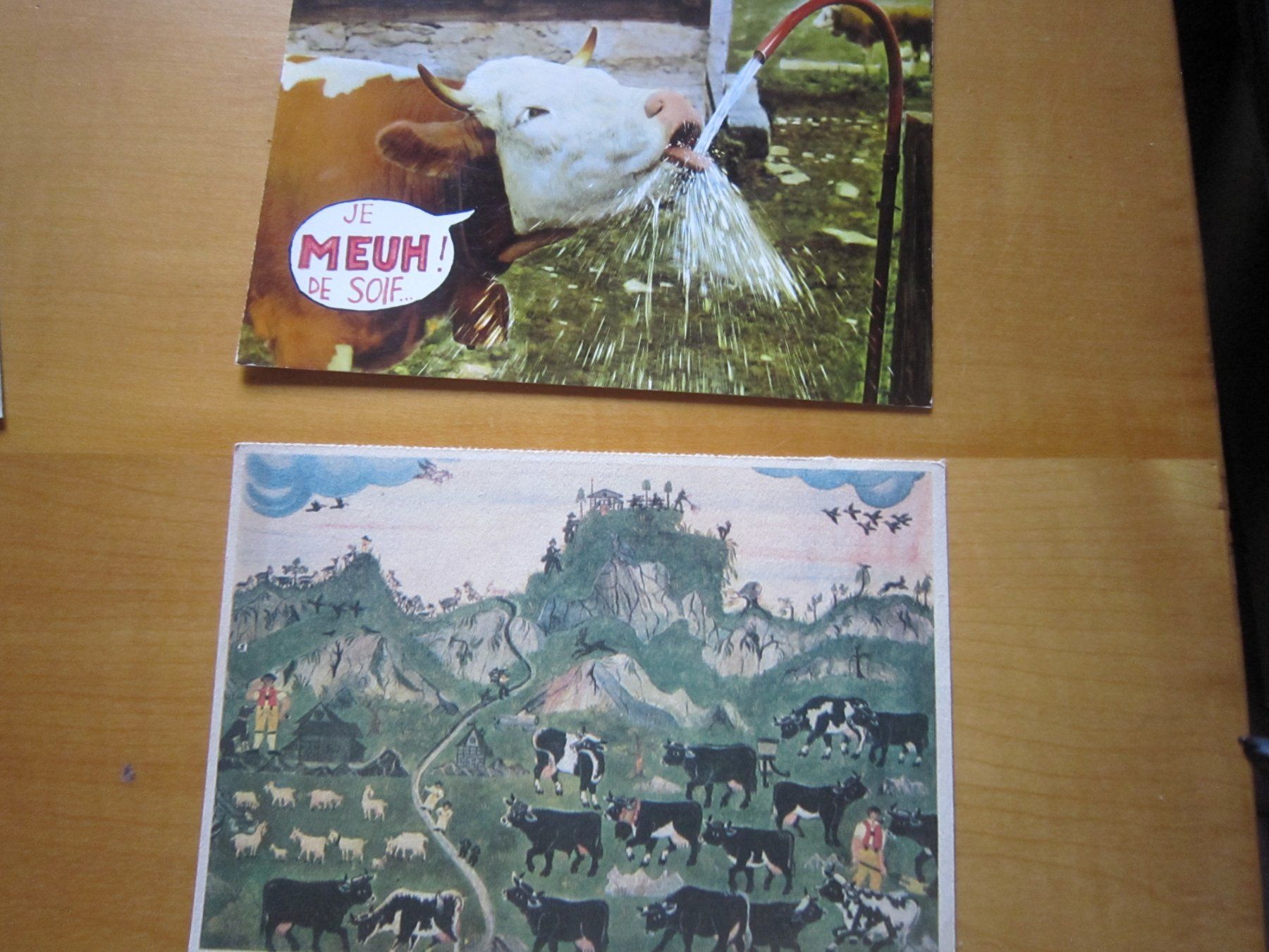 Cartoline postali: No 17 schöne Postkarten Kühen – Usato da Gordola venduto da Polentaefung 4