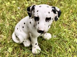 🐾 Dalmatiner Figur "Royal Präsent" (15cm)