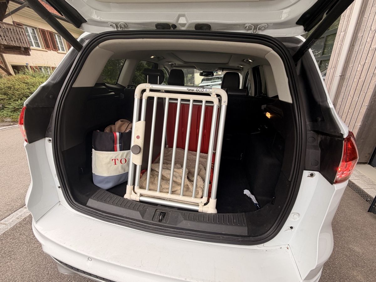 4pets Gabbie, trasporto & Sicurezza: Hundebox Auto 4Pets Eco M – Usato da Tuttwil venduto da Tuttli75 4
