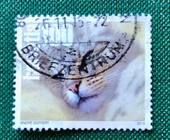 Nr.1533 Katze  Sondermarken GESTEMPELT 2015  ﻿ 