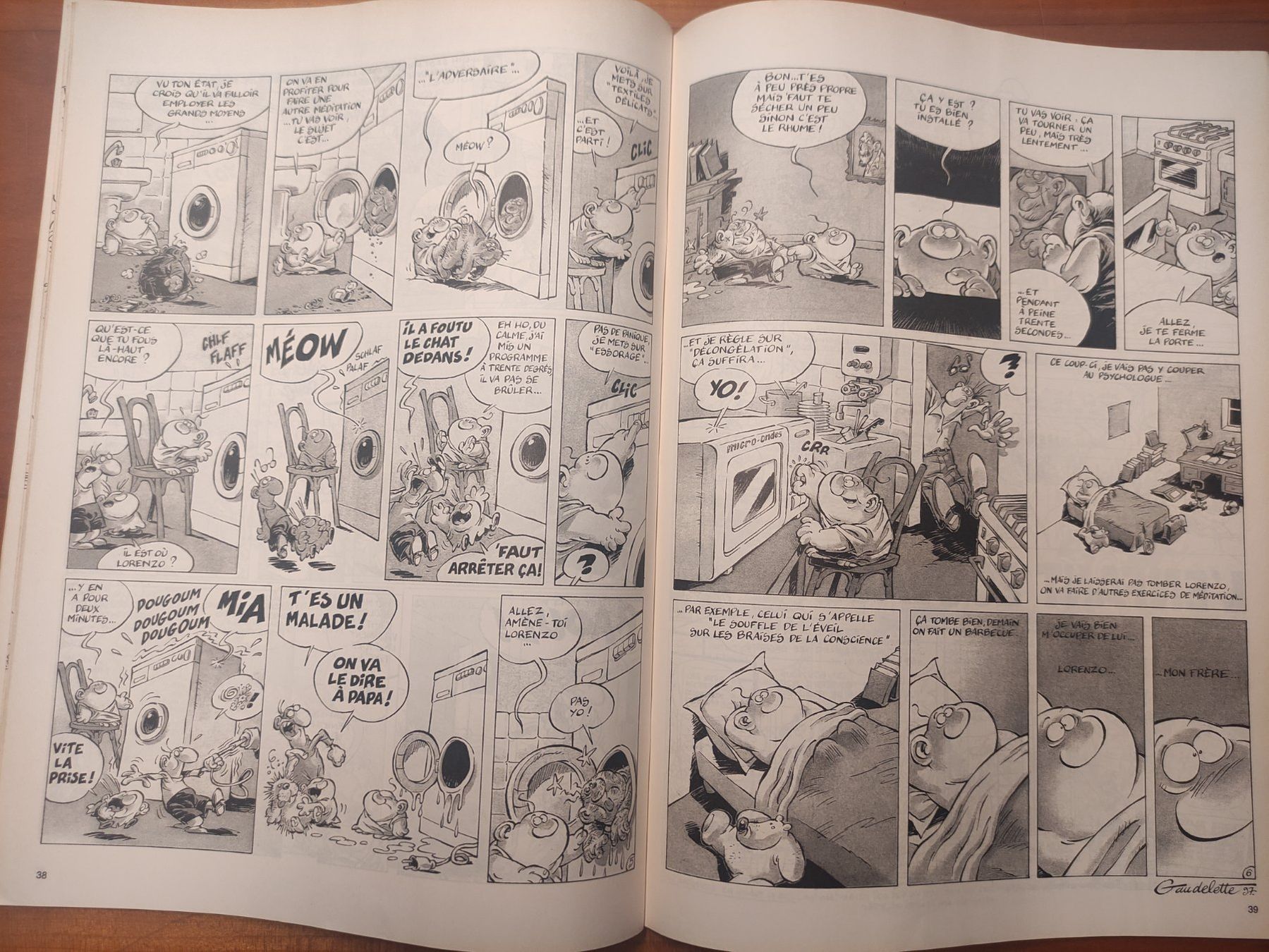 Fumetti: Fluide Glacial, franz. Humor – Usato da St. Gallen venduto da Pintador 2