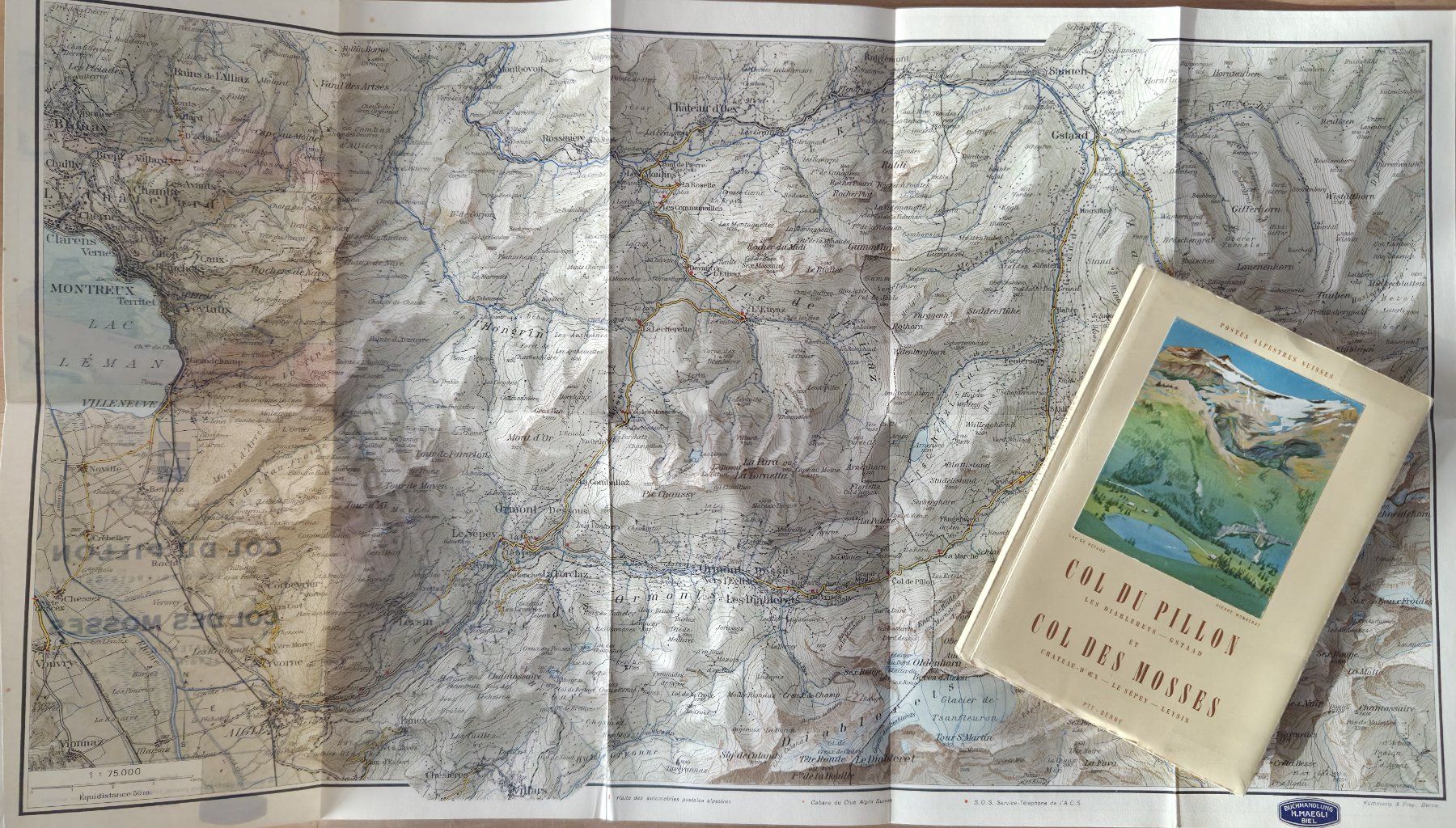 Cartine & Atlanti: Carte Col du Pillon et Col des Mosses – Usato da Prêles venduto da DPR 1