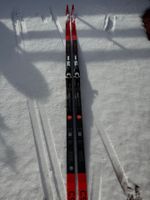 LL Ski Classic Atomic    LL Ski Skate Fischer