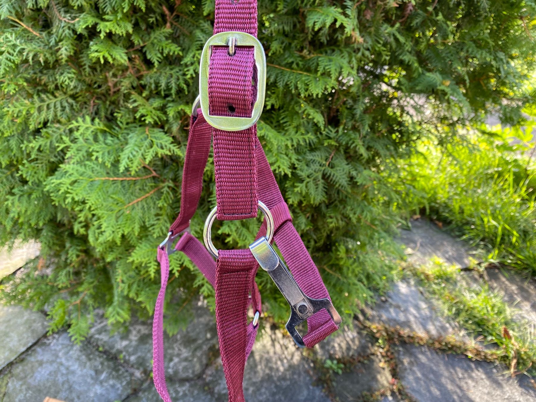 Kutschen: 50 schöne Nylonhalftern – Neu (gemäss Beschreibung) aus Feldbach von Fea1 7
