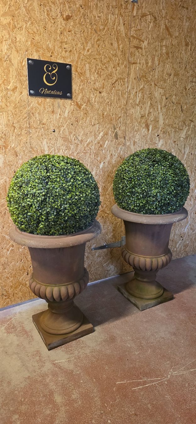 Vasi per fiori: 2 Medici Vasen, Garten Amphoren mit 2 Buchsbaumkugeln – Usato da Kaufdorf venduto da Nati-Nati 2