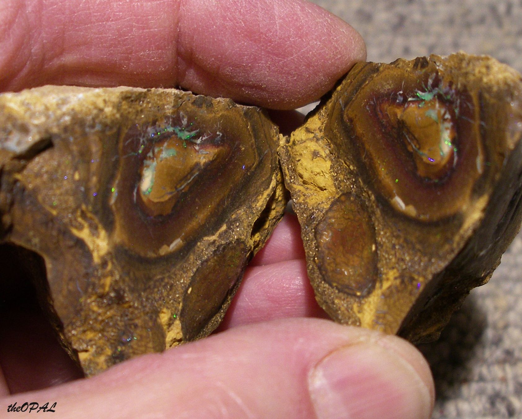 Minerali & Pietre curative: theOPAL*** ROHER BOULDER MATRIX NUSS OPAL SPLIT 750ct *** – Nuovo e nell'imballaggio originale da Ebnat-Kappel venduto da theOPAL 5