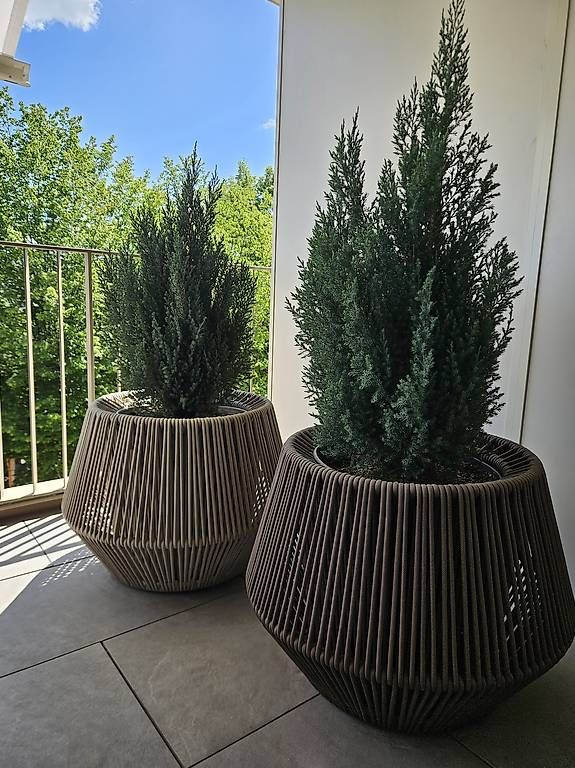 Vasi per fiori: 2 KETTAL Pflanzgefässe ZigZag-Medium – Usato da Thalwil venduto da sho_y9gm
