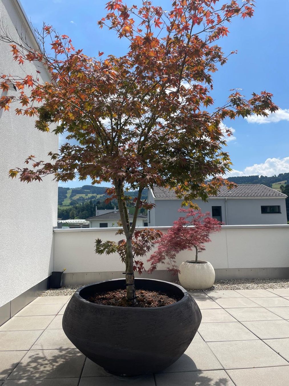 Vasi per fiori: Atelier Vierkant Pflanzentopf, für Garten oder Terrasse – Usato da Au SG venduto da t.zimmi