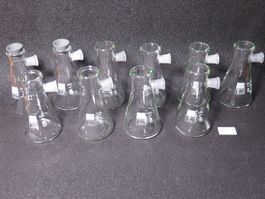 10 x 250ml Vakuum-Saugflaschen