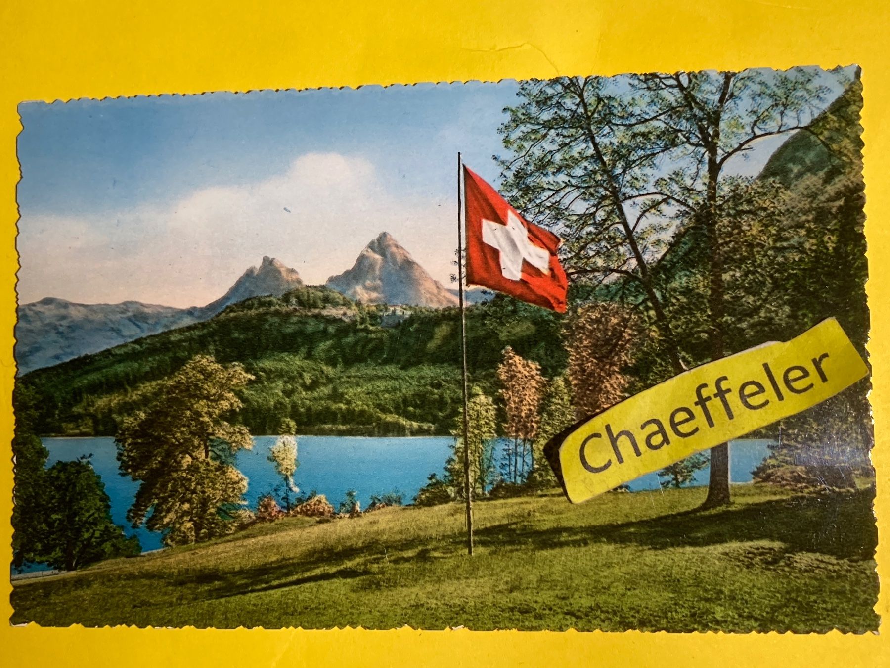 Cartoline postali: Rütliwiese und die Mythen – Usato da Zürich venduto da Chaeffeler