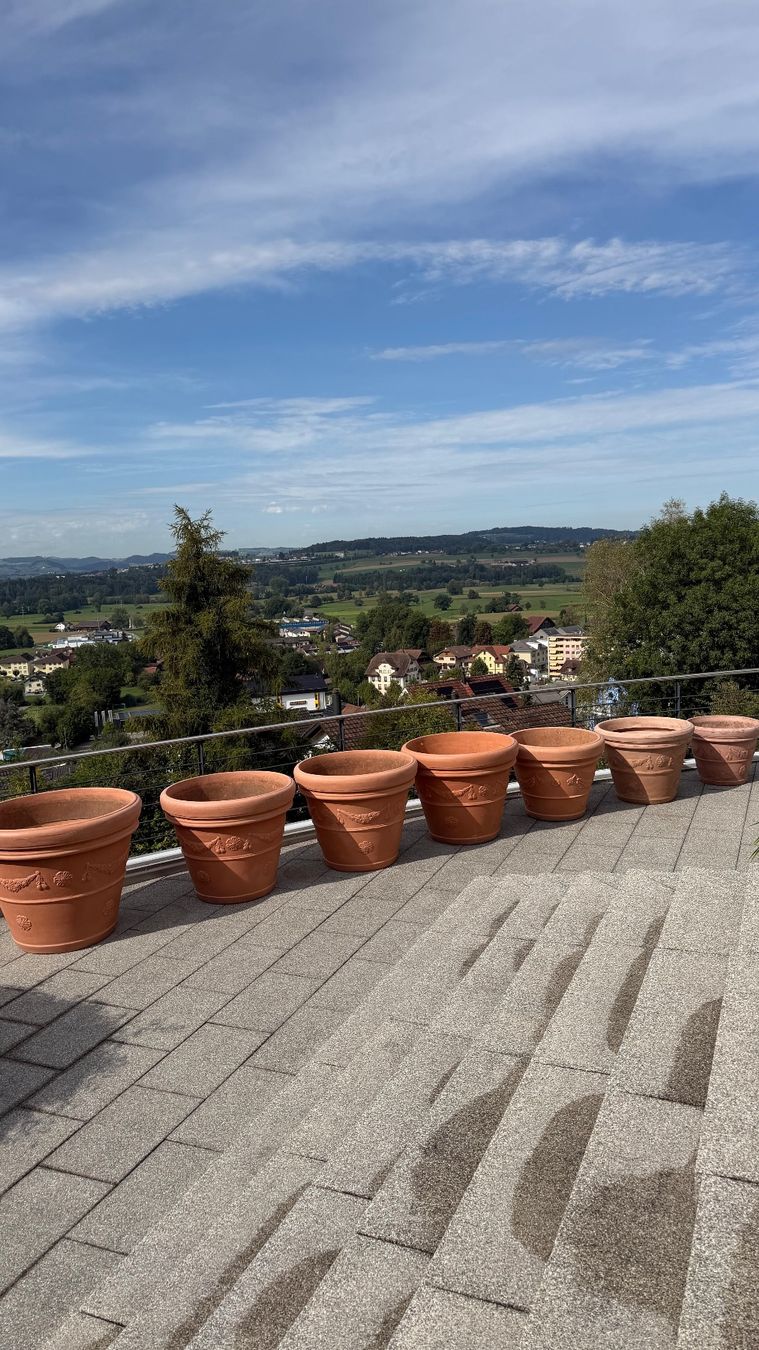 Blumentöpfe: Pflanzentöpfe Terracotta Kunststoff – Gebraucht aus Geuensee von inf_xw5n 1