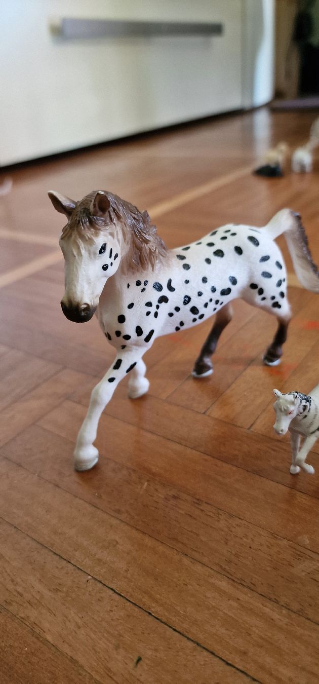 Schleich Spielzeuge: Schleichtiere – Neu (gemäss Beschreibung) aus Wallisellen von sugon 1
