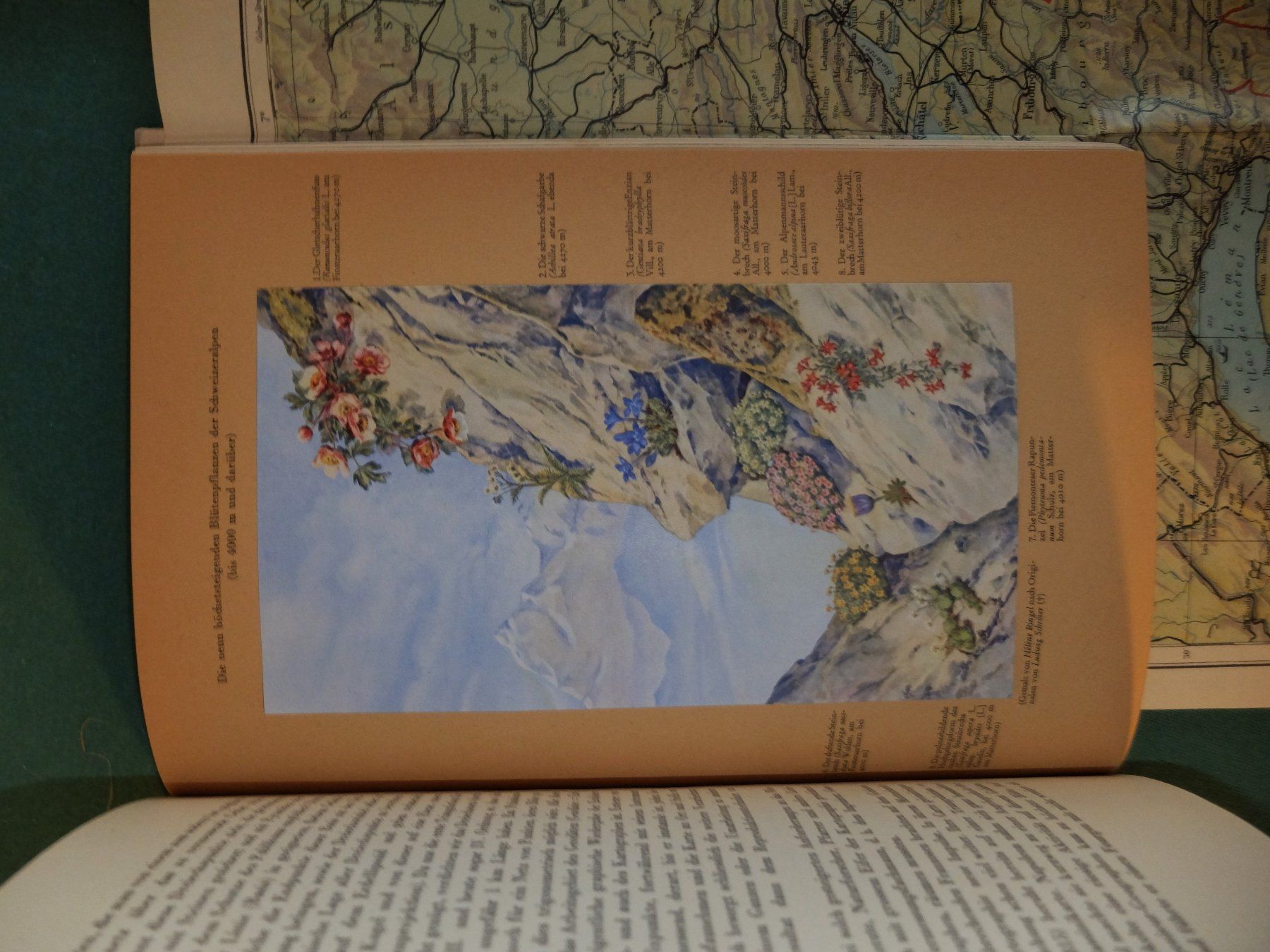Livres: Alpenbuch – D'occasion à Wangs par Rumauch 6